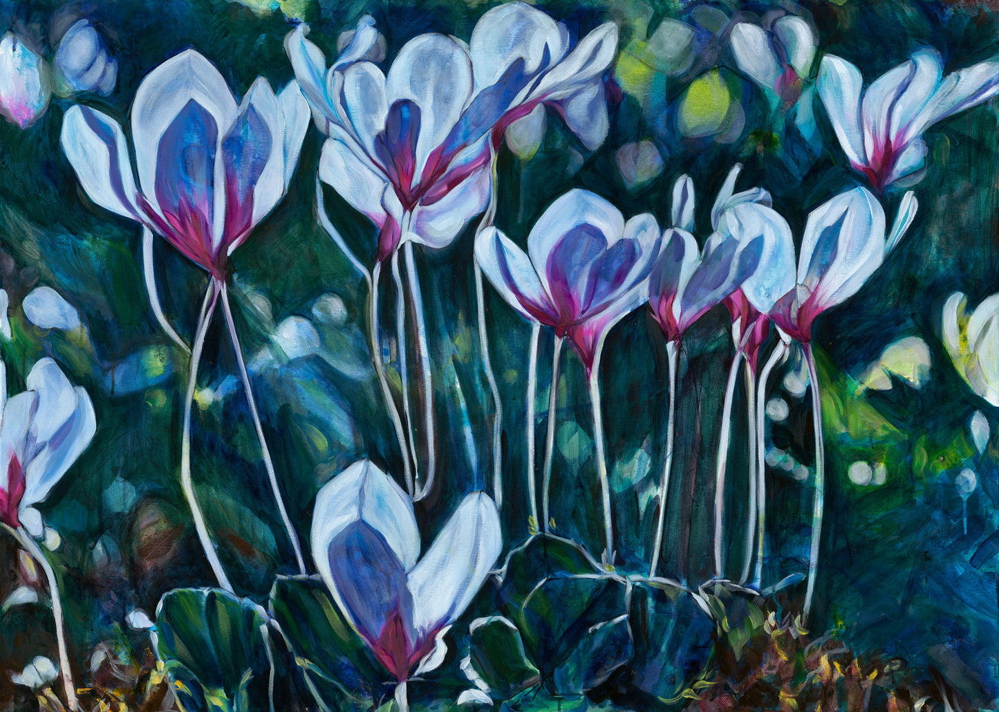 Cyclamens In The Morning